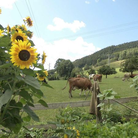 Urlaub Auf Dem Haenslehof Apartment Elzach Luaran gambar