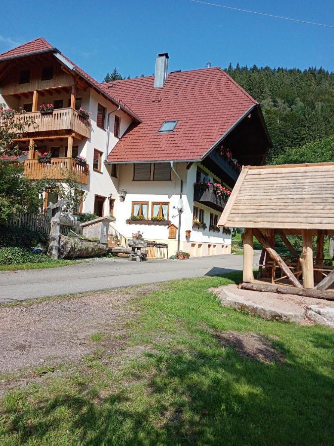 Urlaub Auf Dem Haenslehof Apartment Elzach Luaran gambar