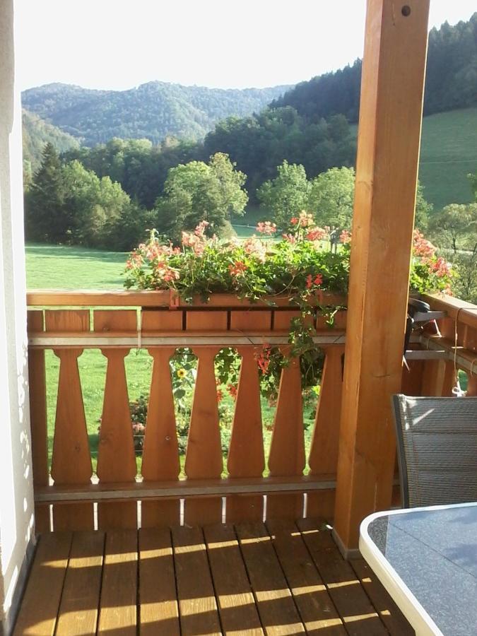 Urlaub Auf Dem Haenslehof Apartment Elzach Luaran gambar