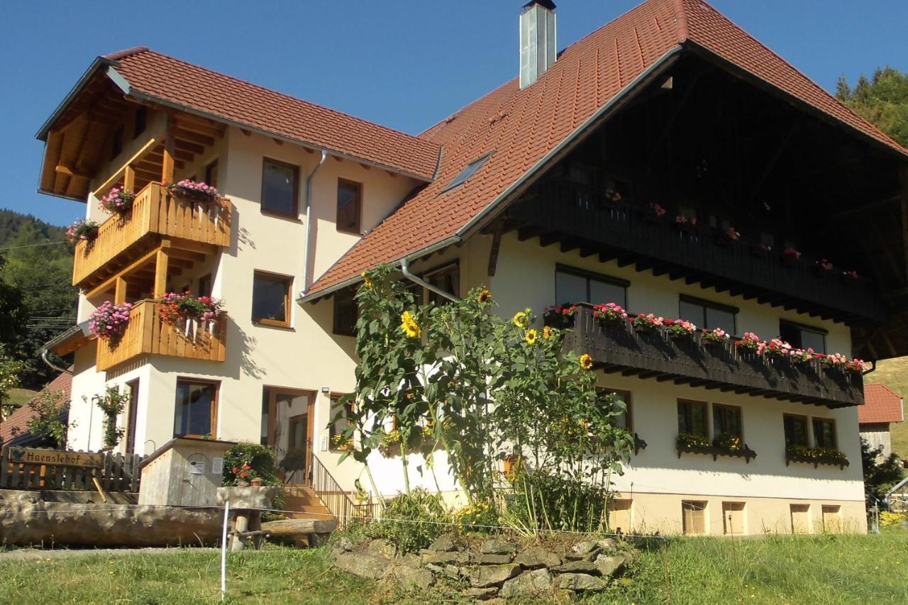 Urlaub Auf Dem Haenslehof Apartment Elzach Luaran gambar