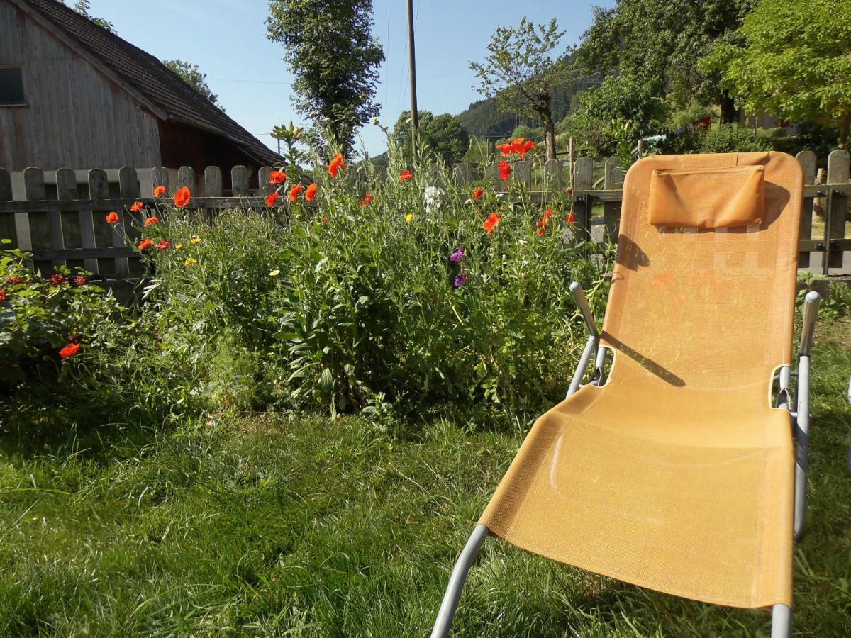 Urlaub Auf Dem Haenslehof Apartment Elzach Luaran gambar