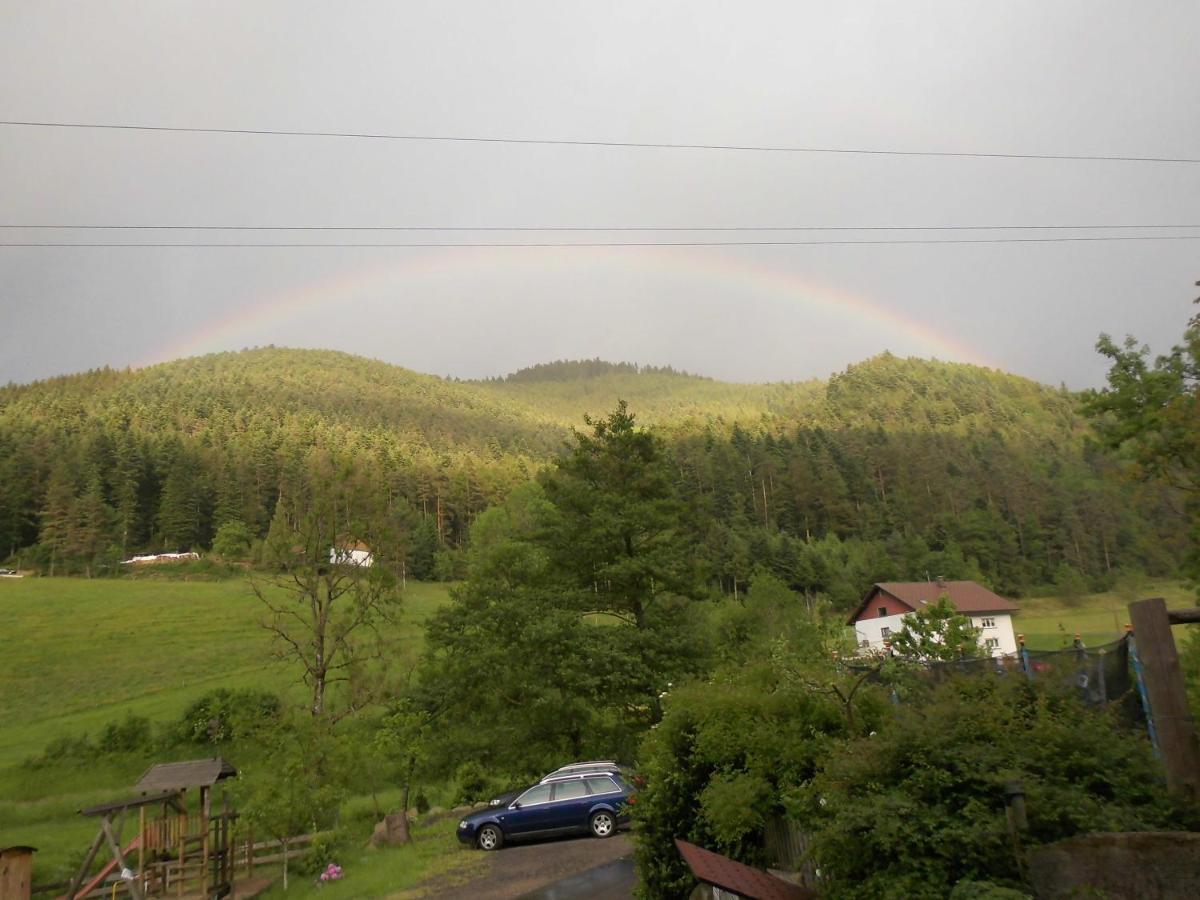 Urlaub Auf Dem Haenslehof Apartment Elzach Luaran gambar