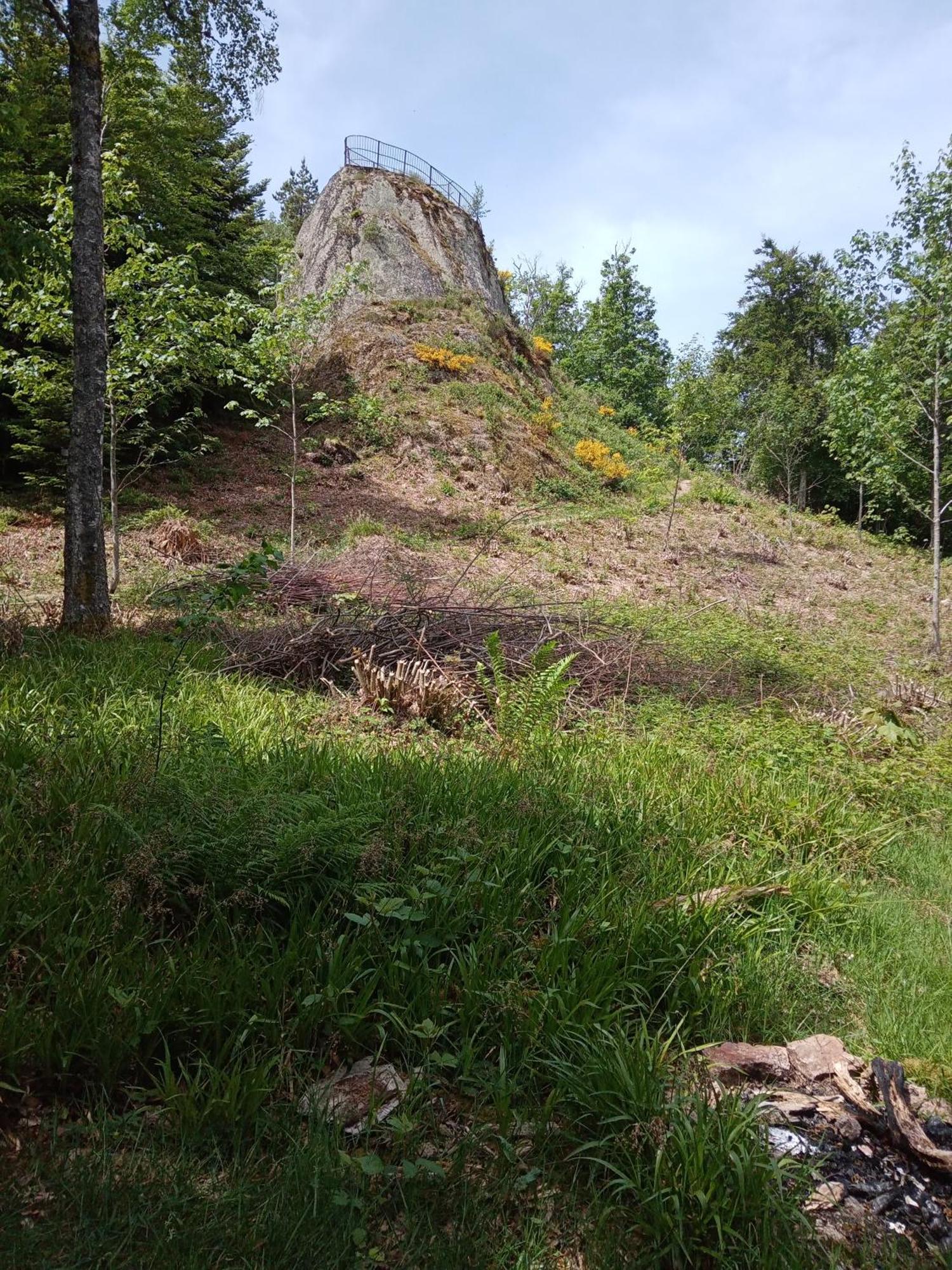 Urlaub Auf Dem Haenslehof Apartment Elzach Luaran gambar