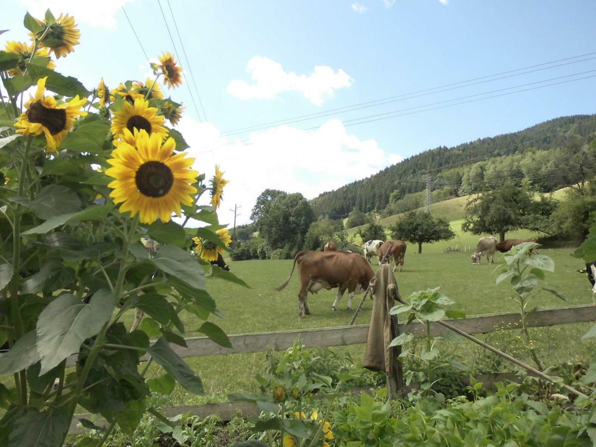 Urlaub Auf Dem Haenslehof Apartment Elzach Luaran gambar